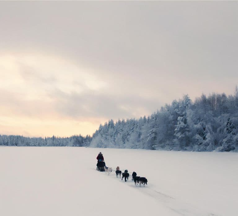 Nulkki Husky Adventure