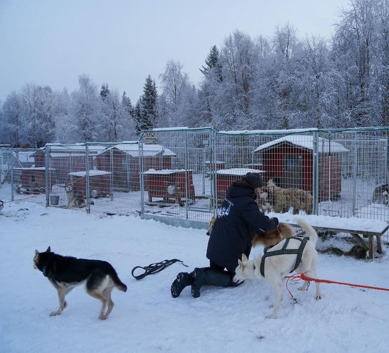 Nulkki Husky Adventure