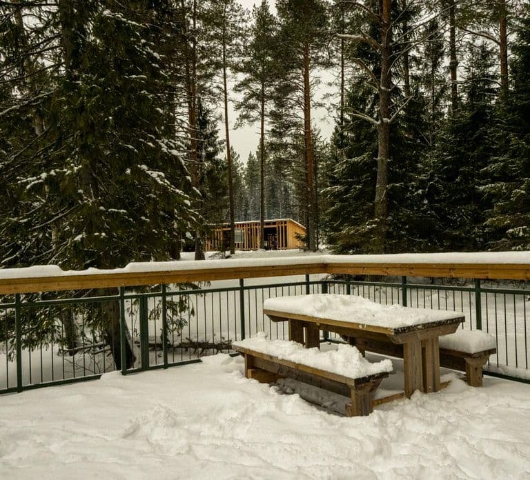 Oulu: Guided Winter Day Trip to Sanginjoki Nature Reserve