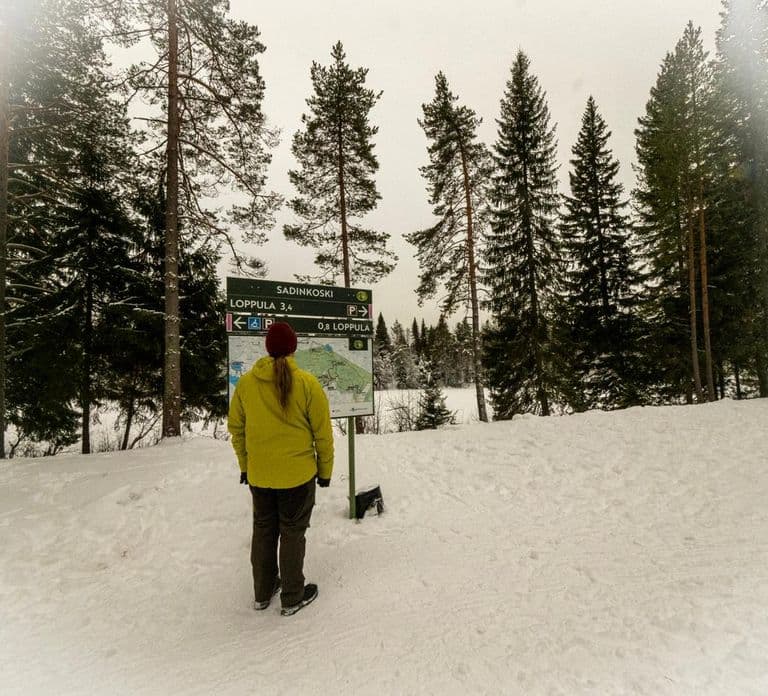 Oulu: Guided Winter Day Trip to Sanginjoki Nature Reserve
