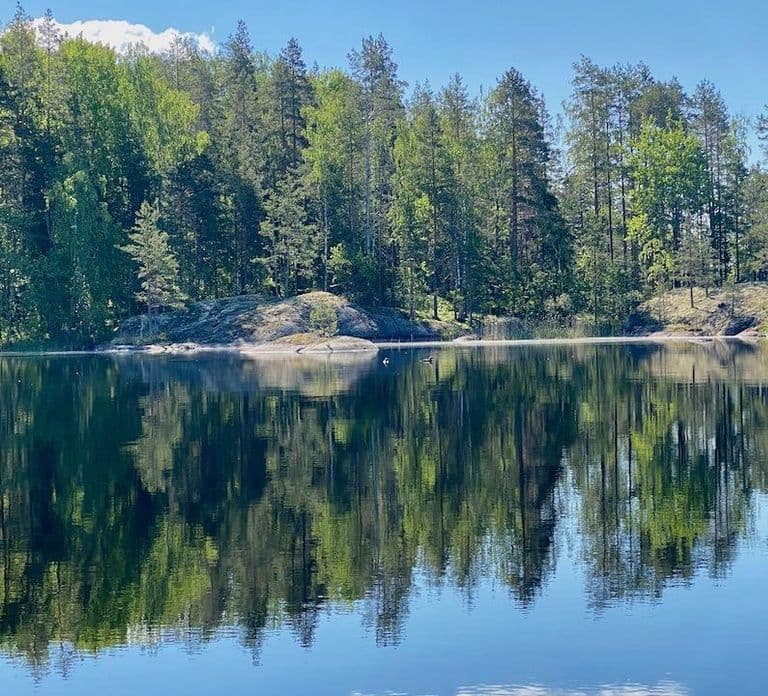 Puumala: Lake Saimaa Seal Watching Cruise