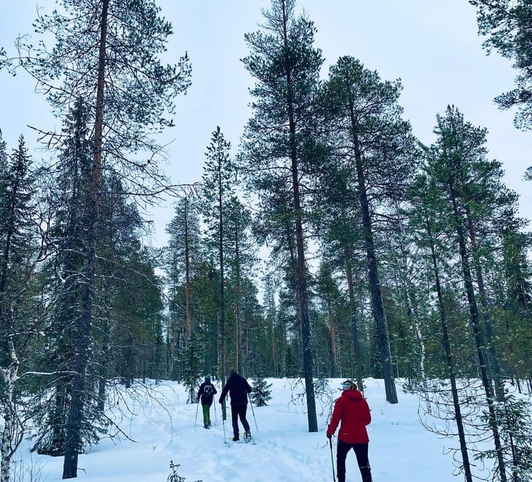 Pyhätunturi: Tour privato con racchette da neve con guida locale
