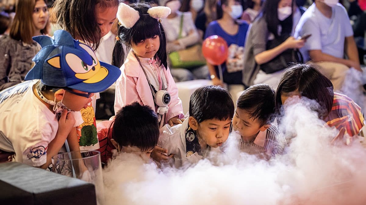 WOW Park Science Show