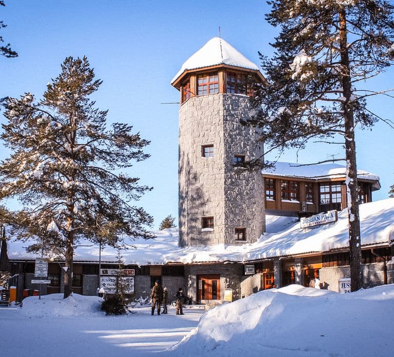 Excursão Guiada ao Ranua Wildlife Park saindo de Rovaniemi, com almoço
