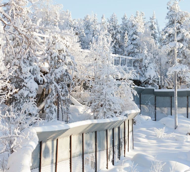 Excursão Guiada ao Ranua Wildlife Park saindo de Rovaniemi, com almoço