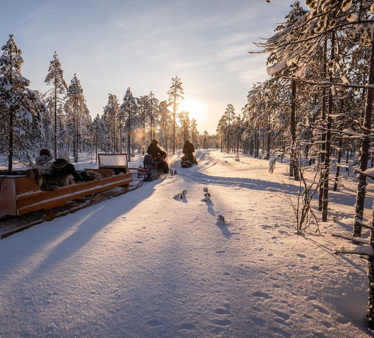 Ranua: Lupland Activity Park Entry with Reindeer Experience