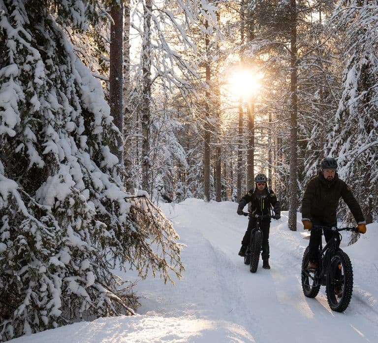 Ranua: Lupland Activity Park Entry with Reindeer Experience
