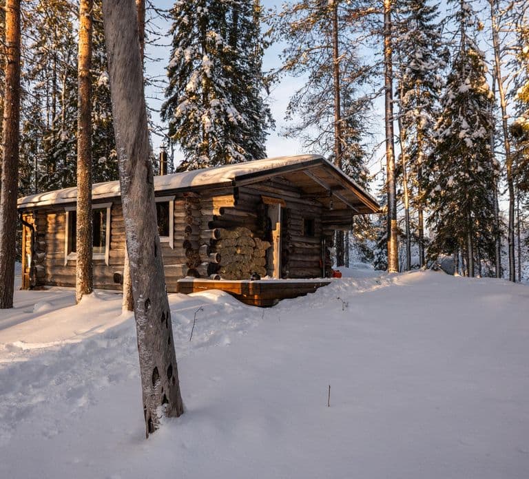 Ranua: Lupland Activity Park Entry with Reindeer Experience