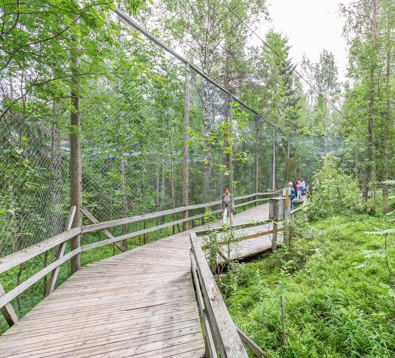 Ranua: Wildlife Park Entrance Ticket