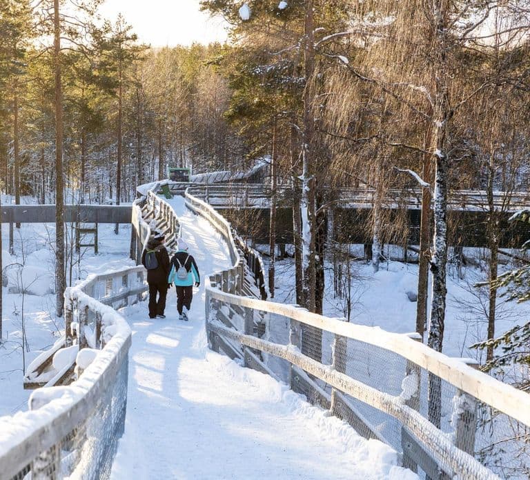 Ranua: Wildlife Park Entrance Ticket