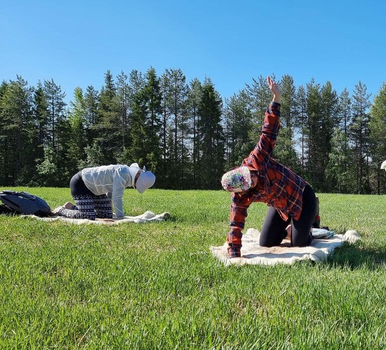 Reindeer yoga in Kuusamo