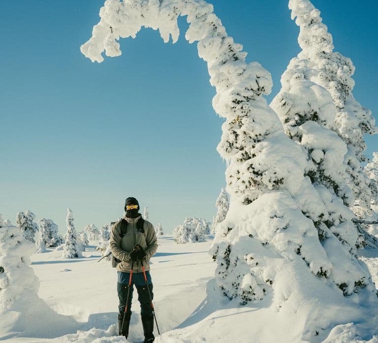 Riisitunturi National Park Full-Day Tour from Rovaniemi
