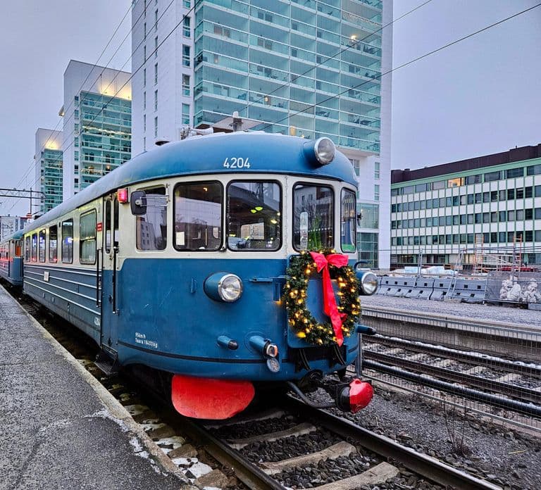 Rovaniemi Insider: Aurora Train Ride for Families