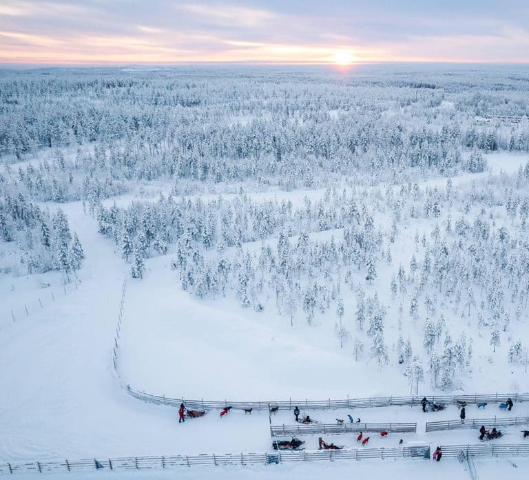 Rovaniemi: 4-7 km Zelfrijdende huskysledetocht door het bos