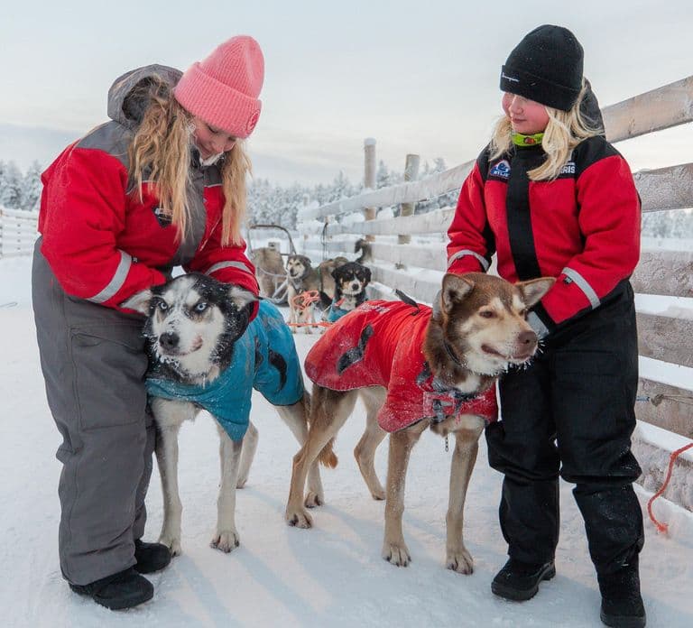Rovaniemi: 4-7 km Zelfrijdende huskysledetocht door het bos