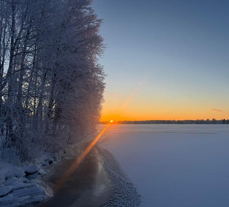 Rovaniemi: Notte in sauna privata all-inclusive e tuffo artico
