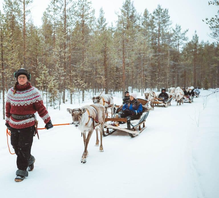 Rovaniemi: Apukka Rentier-Ausflug
