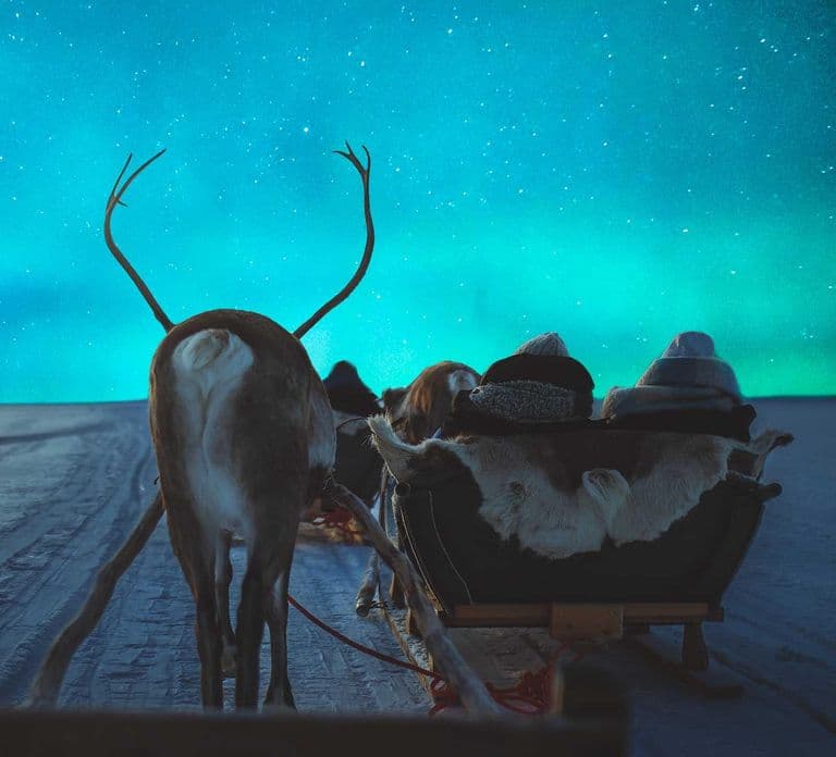 Rovaniemi: Apukka Rentierschlittenfahrt bei Nacht