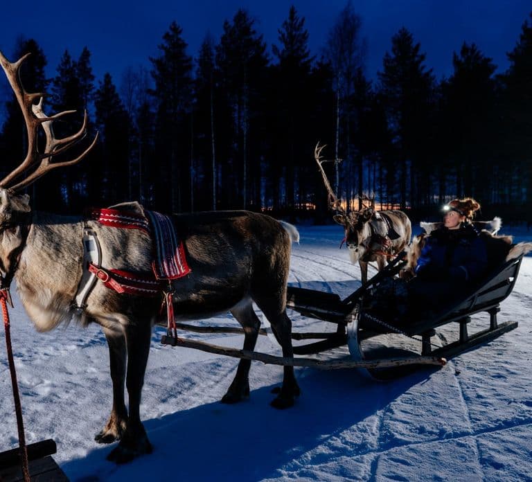 Rovaniemi: Apukka Rentierschlittenfahrt bei Nacht