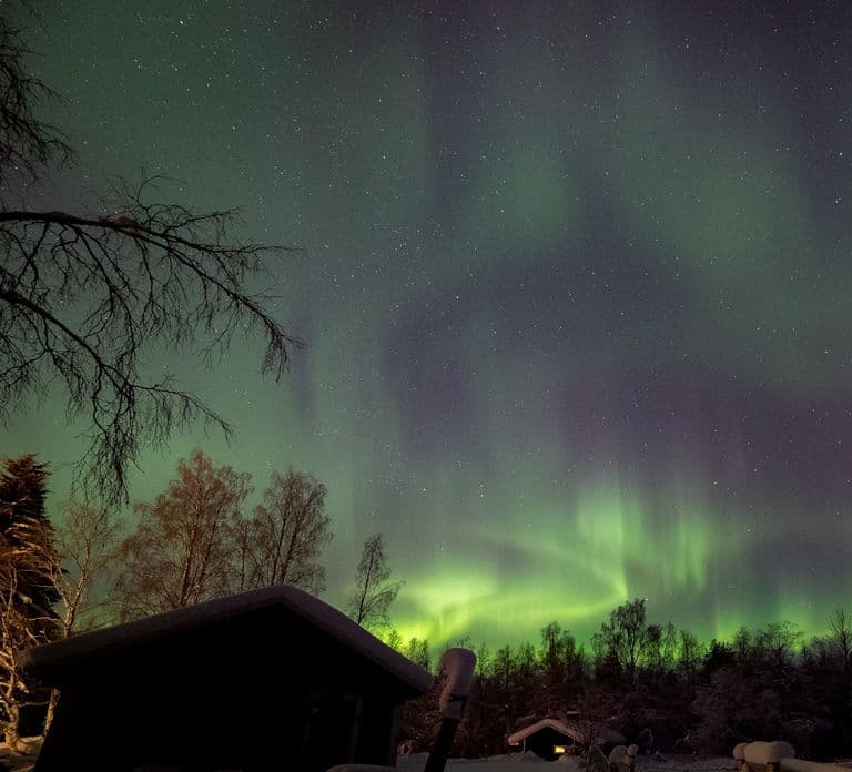 Rovaniemi: Apukka Rentierschlittenfahrt bei Nacht