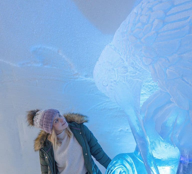 Rovaniemi: Tour dell'Arctic SnowHotel