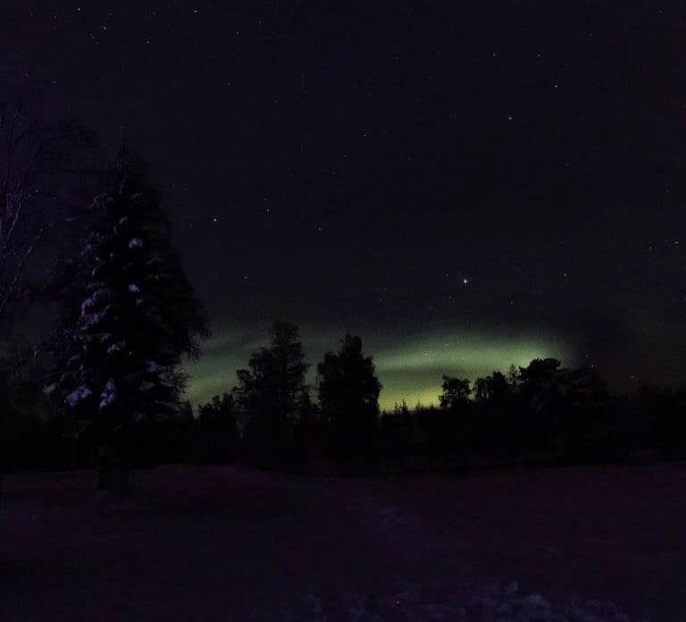 Rovaniemi: Tour de caza de auroras en el bosque con bebidas calientes