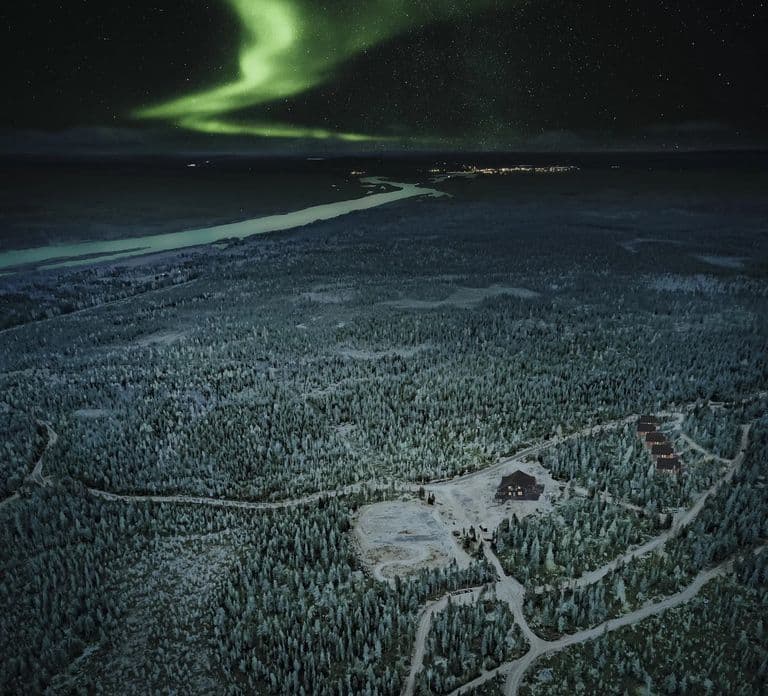 Rovaniemi: Tour de caza de auroras en el bosque con bebidas calientes