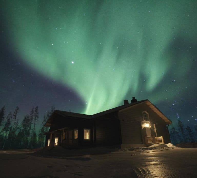 Rovaniemi: Safari con Husky dell'Aurora attraverso la foresta