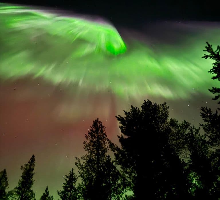 Rovaniemi: Kawa pod zorzą polarną i profesjonalna sesja zdjęciowa