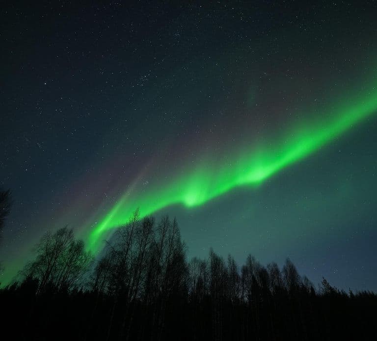 Rovaniemi: Kawa pod zorzą polarną i profesjonalna sesja zdjęciowa