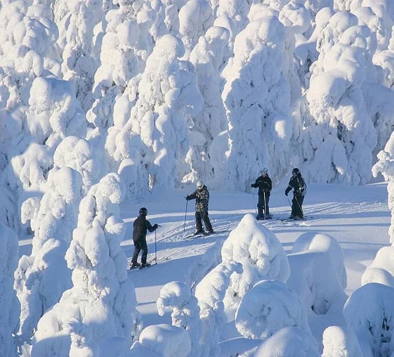 Rovaniemi: Cross Country Wilderness Ski Adventure