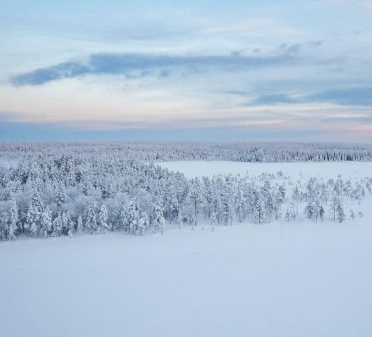 Rovaniemi: Avventura di sci di fondo con guida