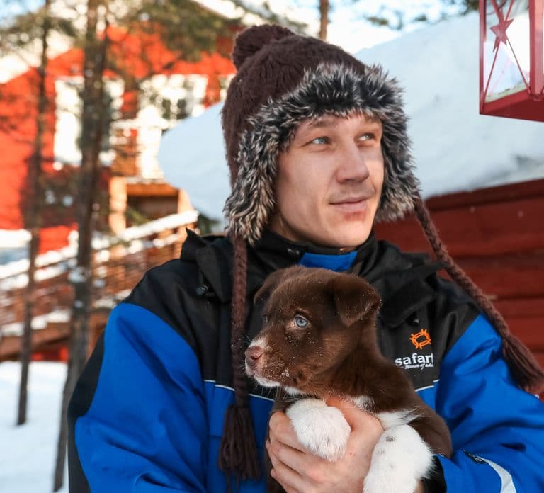 Rovaniemi: Dzienne safari z psimi zaprzęgami