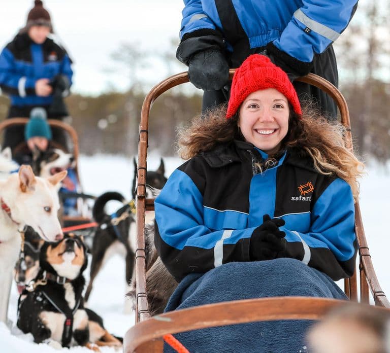Rovaniemi: Dzienne safari z psimi zaprzęgami