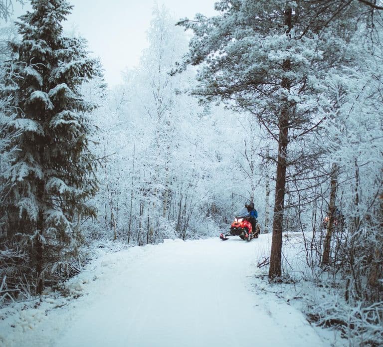 Rovaniemi: Early Winter 2 Hour Snowmobile Safari