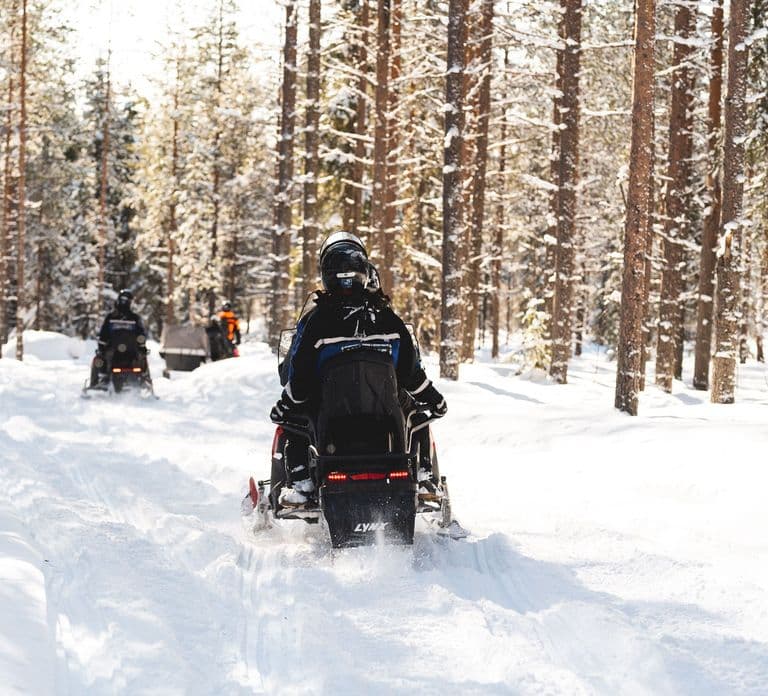 Rovaniemi : Safari en motoneige facile