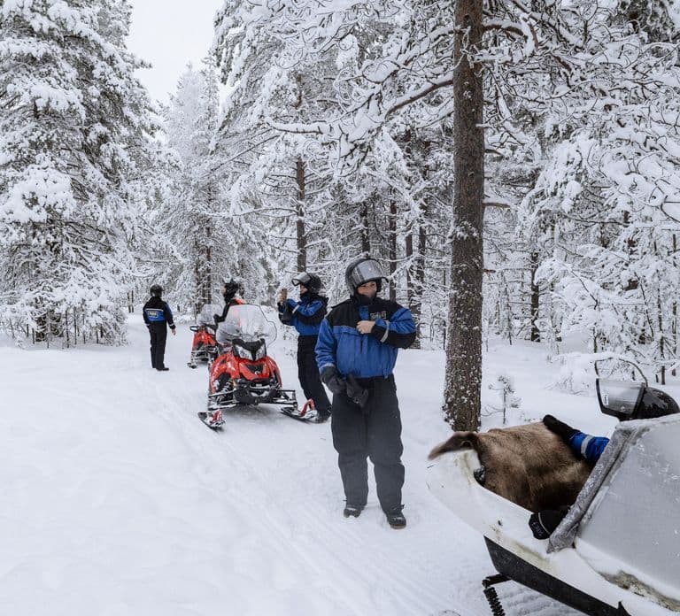 Rovaniemi: Easy Snowmobile Safari