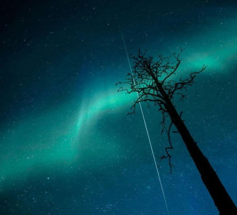 Rovaniemi: Elf's Northern Lights Sleigh Ride