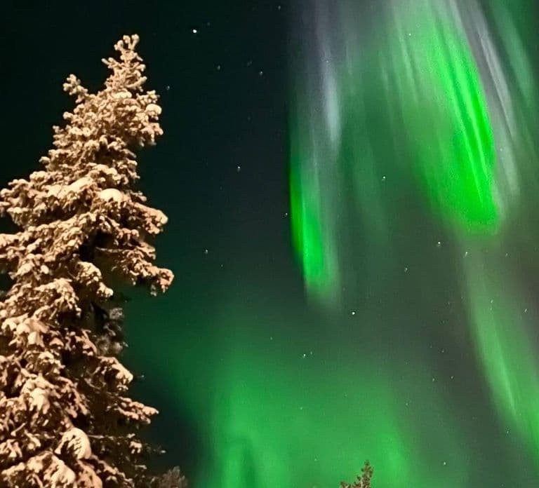Rovaniemi: Przejażdżka saniami z elfem pod zorzą polarną