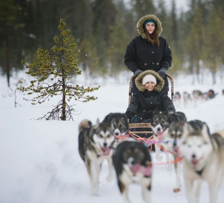 Rovaniemi: Familienfreundliche Husky-Schlittenfahrt und Farmbesuch