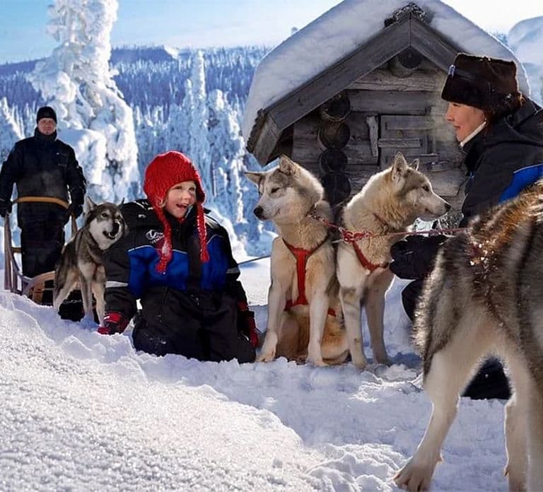 Rovaniemi: Przyjazna rodzinom przejażdżka psim zaprzęgiem i wizyta na farmie