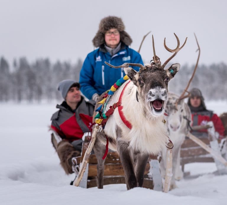 Rovaniemi: Dia de Diversão em Família com Huskies e Renas
