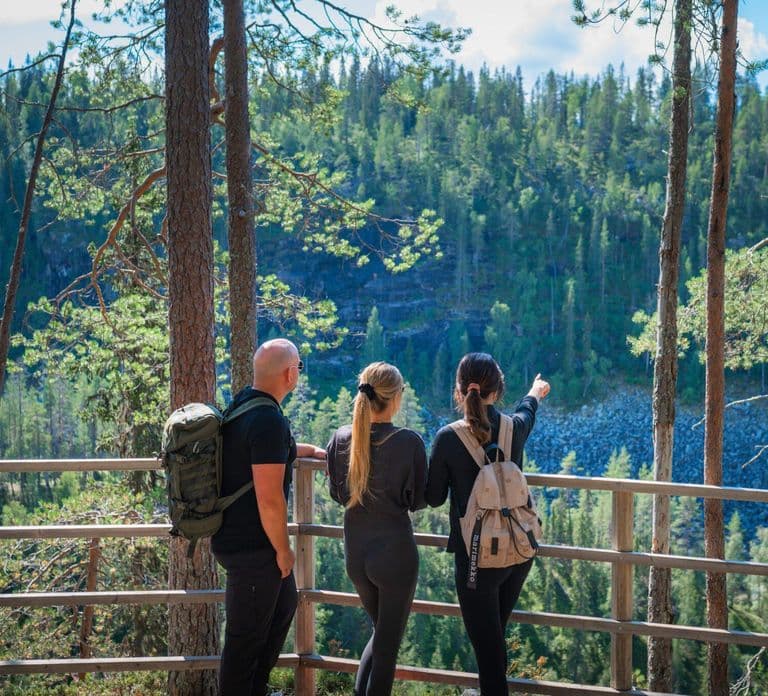 Rovaniemi: Bevroren watervallen in Korouoma Canyon met gids