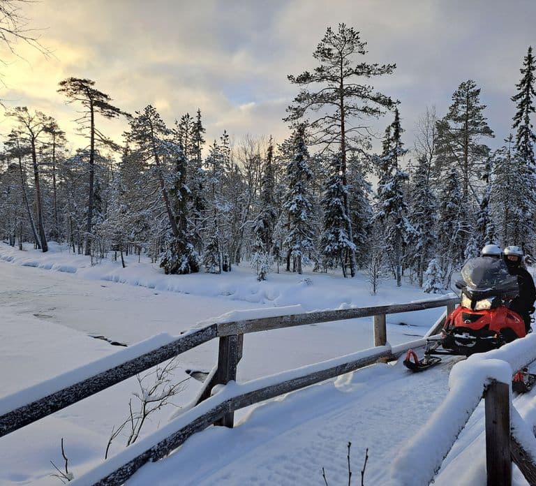 Rovaniemi: Full-Day Snowmobile Adventure