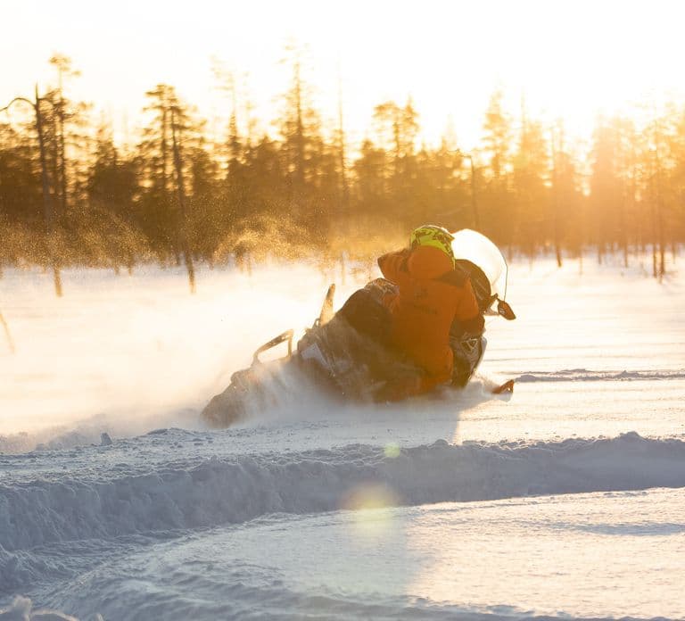 Rovaniemi: Safari de día completo en moto de nieve por la naturaleza salvaje