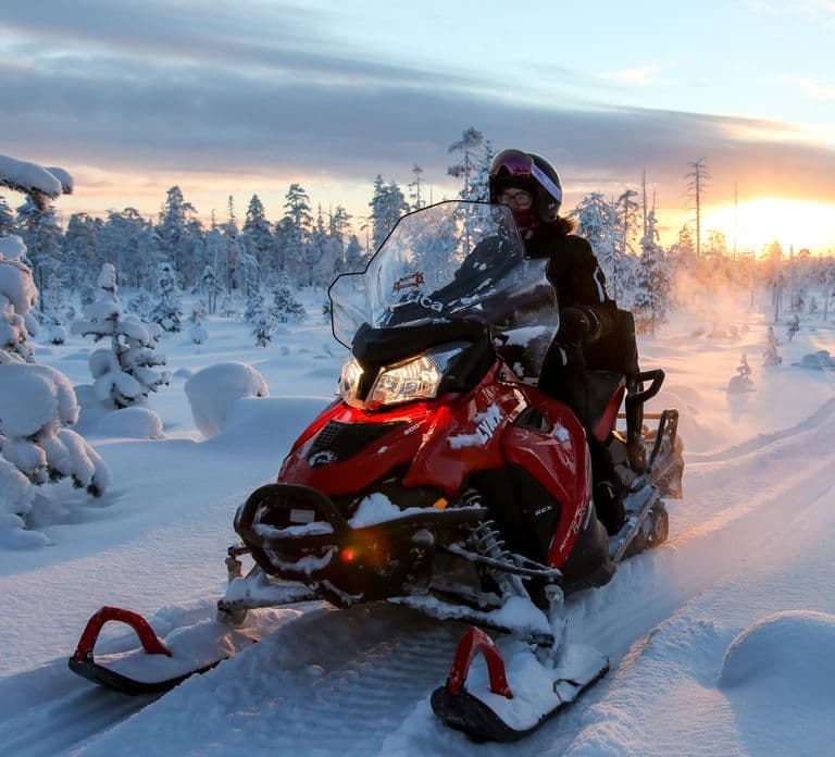 Rovaniemi: Safari de día completo en moto de nieve por la naturaleza salvaje