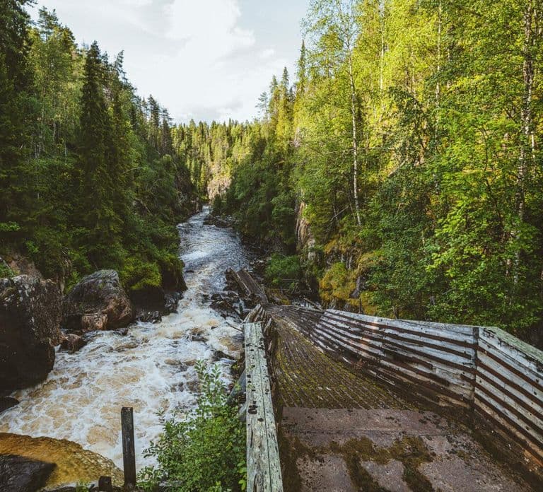 Rovaniemi : excursion d'une journée complète vers les meilleures attractions de Laponie 5 en 1
