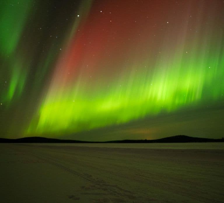 Rovaniemi: Tour dell'Aurora garantito in autobus con foto incluse