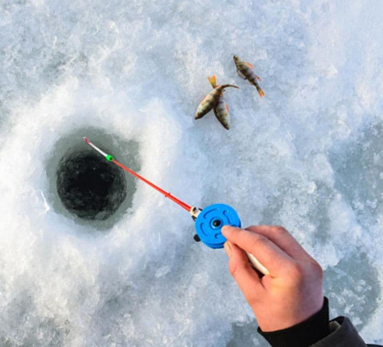 Rovaniemi: Aventura de pesca en hielo