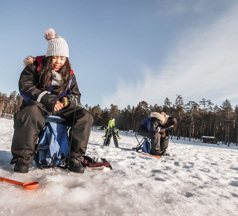Rovaniemi: Ijsviservaring